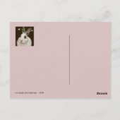 marshmallow briefkaarten (Achterkant)