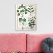 Marshmallow & Hastula Regia Asarabacca & Canvas Afdruk (Insitu (Woonkamer))