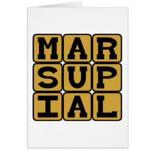 Marsupial, mammifère à poche marsupiale