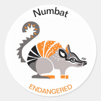 Marsupial - NUMBAT - Wildlife- Australia Ronde Sticker