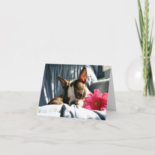 Martha en Gerber Daisy Kaart (Voorkant)