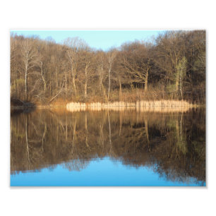Marthaler Park en Pond Morning Glow Foto Afdruk
