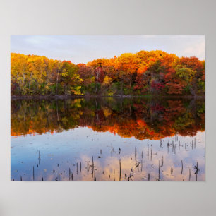 Marthaler park herfst en vijverreflecties poster
