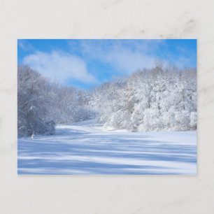 Marthaler Park Snowy Hills Briefkaart