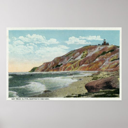 Martha's Vineyard, Gay Head Cliffs Uitzicht Poster (Voorkant)