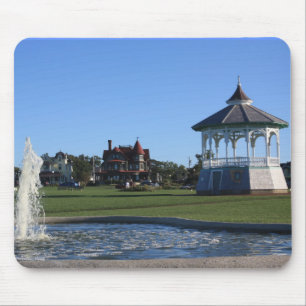 Martha's Vineyard Muismat