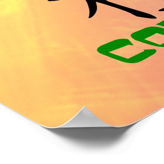 Martial Arts: It Means... poster (Coin)