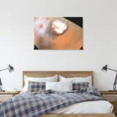 Martian Cyclone, gezien vanuit de noordelijke pool Canvas Afdruk (Insitu (Slaapkamer))