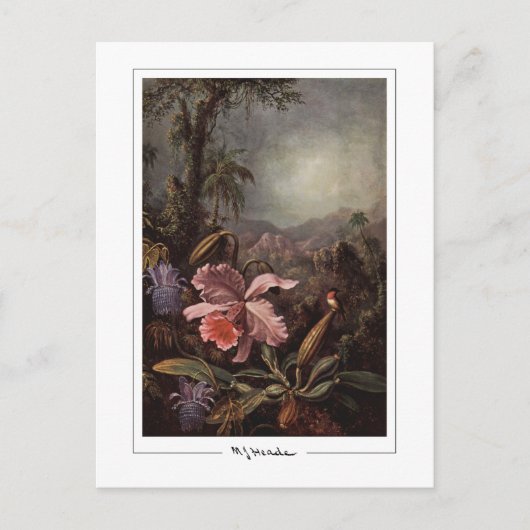 Martin Johnson Heade #202 - Carte postale d'art fi (Devant)