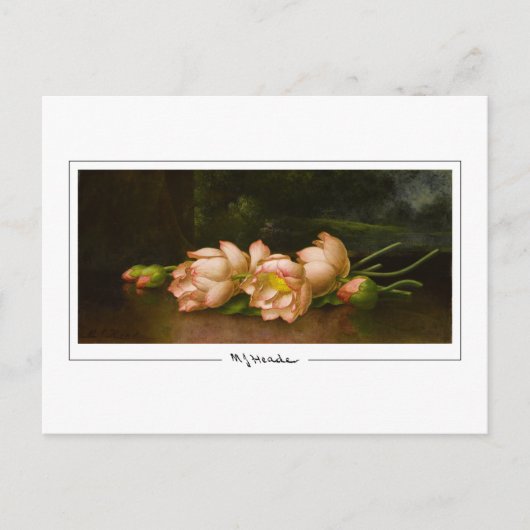 Martin Johnson Heade #34 - Carte postale d'art fin (Devant)