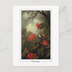 Martin Johnson Heade #36 - Kunstkaart Briefkaart