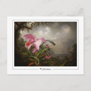 Martin Johnson Heade #45 - Kunstkaart Briefkaart
