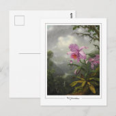 Martin Johnson Heade #4 - Carte postale d'art fin (Devant / Derrière)