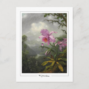 Martin Johnson Heade #4 - Carte postale d'art fin