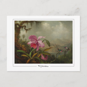Martin Johnson Heade #51 - Carte postale d'art