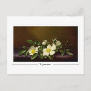 Martin Johnson Heade #52 - Carte postale d'art