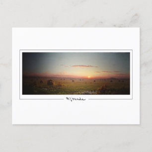 Martin Johnson Heade #77 - Fine Art Briefkaart