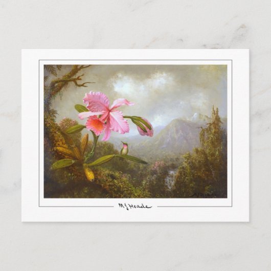 Martin Johnson Heade #8 - Fine Art Briefkaart (Voorkant)
