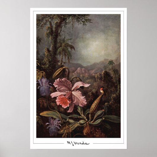 Martin Johnson Heade Affiche d'art Zedign #202 (Devant)