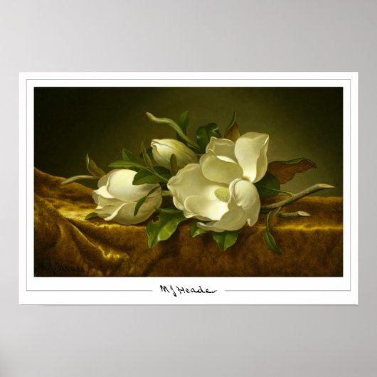 Martin Johnson Heade Affiche de Zedign Art #27 (Devant)
