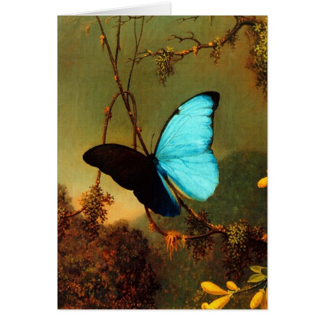 Martin Johnson Heade Blue Morpho Butterfly (Devant)