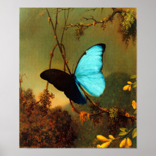 Martin Johnson Heade Blue Morpho Butterfly Poster