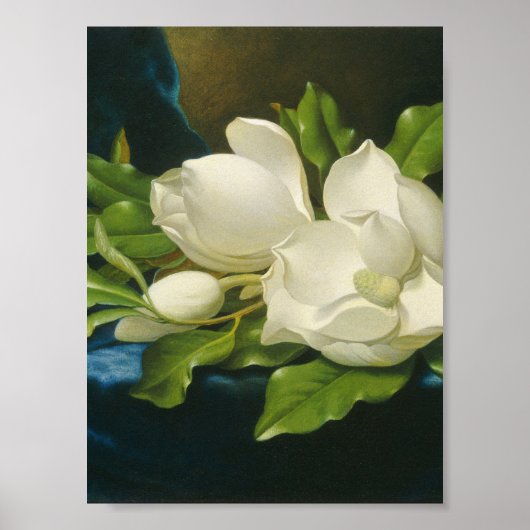 Martin Johnson Heade - Giant Magnolias Poster (Voorkant)