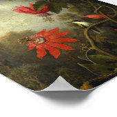 Martin Johnson Heade - Hummingbird and Passion Poster (Hoek)