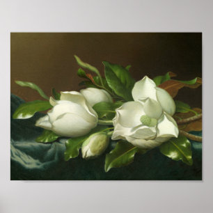 Martin Johnson Heade - Magnolias op Light Blue Poster