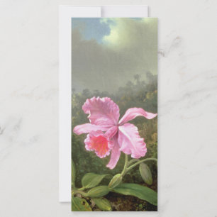 Martin Johnson Heade Orchid en Hummingbird