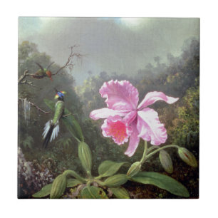 Martin Johnson Heade Orchid en Hummingbird Tegeltje