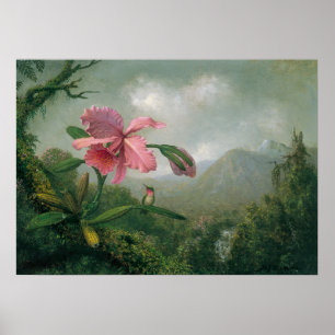 Martin Johnson Heade - Orchid met Two Hummingbird Poster