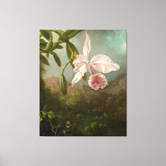 MARTIN JOHNSON HEADE - Orchidee bloesems - 1873 - Canvas Afdruk (Voorkant)