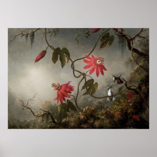 Martin Johnson Heade - Passion Flowers en Humming Poster (Voorkant)