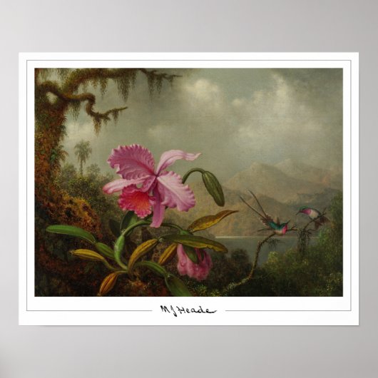 Martin Johnson Heade Zedign Affiche d'art #51 (Devant)
