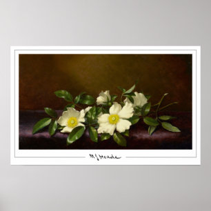 Martin Johnson Heade Zedign Affiche d'art #52