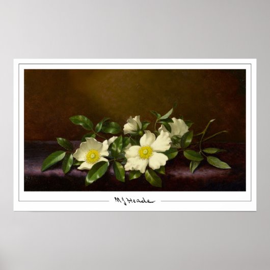 Martin Johnson Heade Zedign Affiche d'art #52 (Devant)