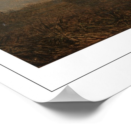 Martin Johnson Heade Zedign Art Poster #10 (Hoek)