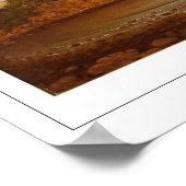 Martin Johnson Heade Zedign Art Poster #102 (Hoek)