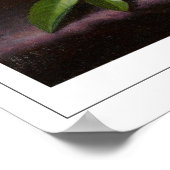 Martin Johnson Heade Zedign Art Poster #52 (Hoek)