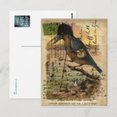 Martin-pêcheur de carte postale (Devant / Derrière)