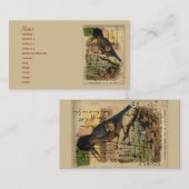 Martin-pêcheur de carte postale (Devant / Derrière)