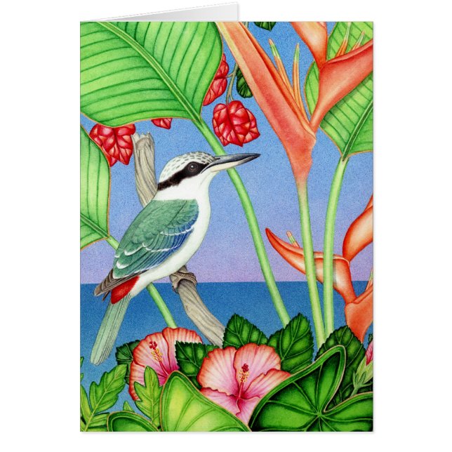 martin-pêcheur Rouge-soutenu (Devant)