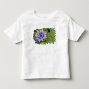 Martinique, Franse Antillen, West-Indië, Blauw Kinder Shirts