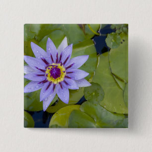 Martinique, Franse Antillen, West-Indië, Blauw Vierkante Button 5,1 Cm