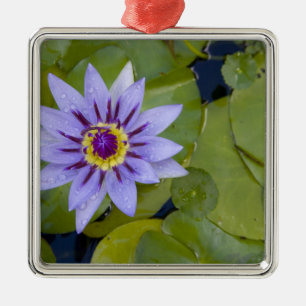 Martinique, Franse Antillen, West Indies, blauw Metalen Ornament