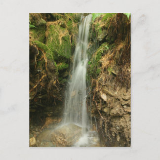 Martin's Brook Road Briefkaart