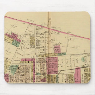 Martin's Ferry Muismat