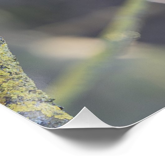 Martinus Perfect Poster (Hoek)