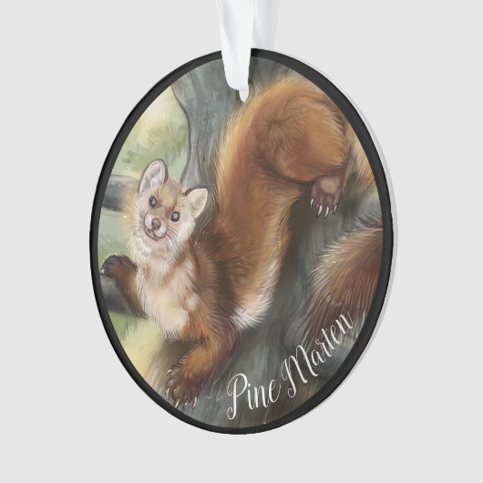 Martre de pin américain (devant)